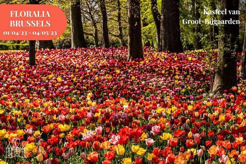Floralia Brussels 2023
